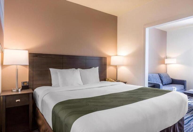 إستوديو ديلوكس, Ramada Suites By Wyndham San Diego