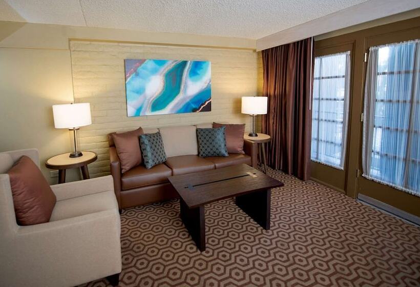 سوییت, Doubletree Suites By Hilton Tucson   Williams Center