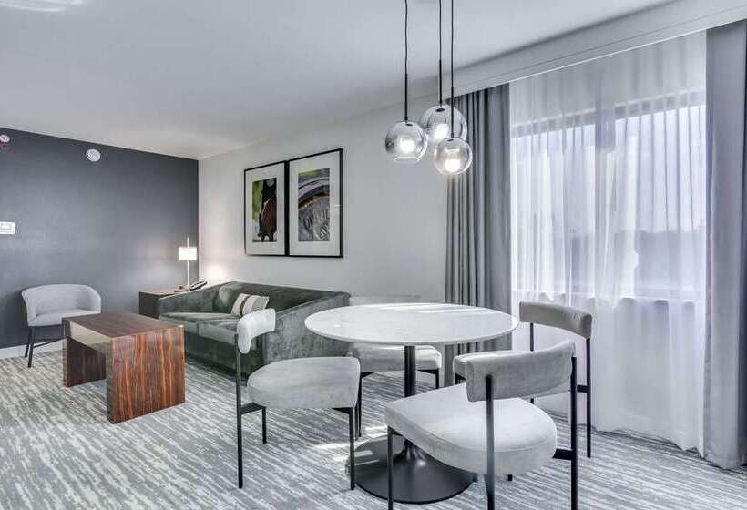 חדר סטנדרט עם מיטת קינג, Embassy Suites By Hilton Atlanta Buckhead