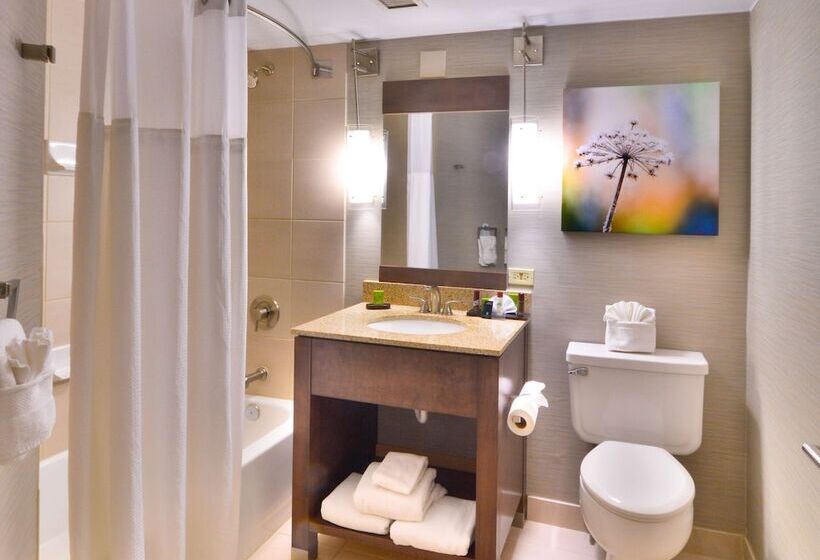 סוויטה, Embassy Suites By Hilton Denver Central Park