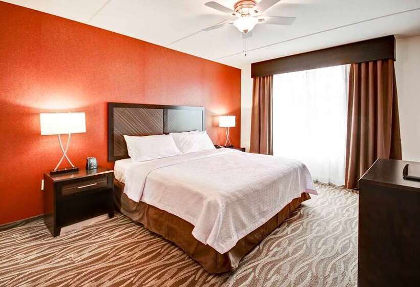 Suite met Kingsize Bed, Embassy Suites By Hilton San Antonio Airport