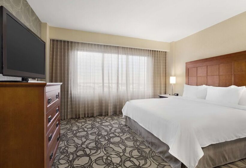 Suite Aangepast voor Gehandicapten, Embassy Suites By Hilton San Antonio Airport