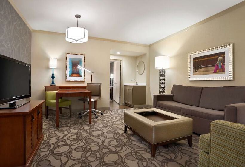Suite Aangepast voor Gehandicapten, Embassy Suites By Hilton San Antonio Airport