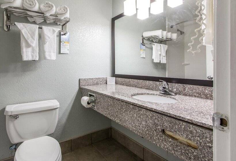 스탠다드 룸 더블 침대 2개, Quality Inn Downtown Historic District