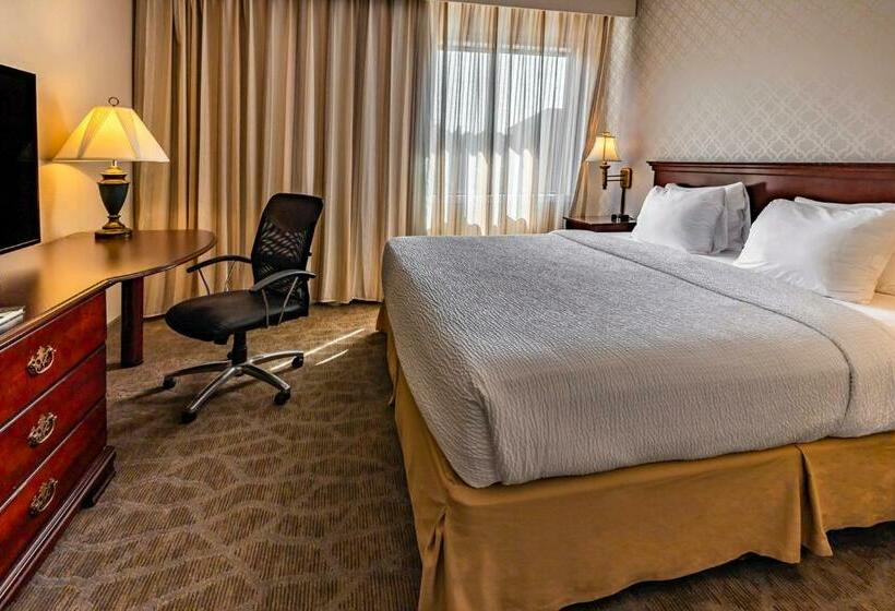 스위트 킹사이즈 침대, The English Inn Of Charlottesville
