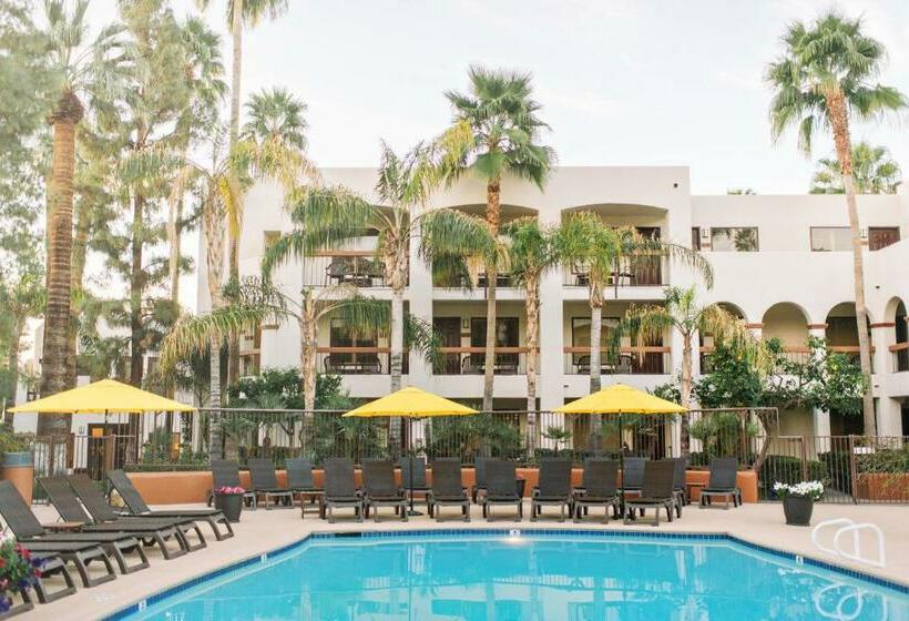 Deluxe-huone King-vuode, Palm Mountain Resort & Spa