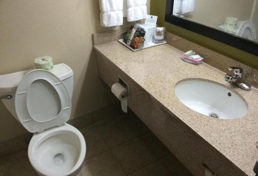 Номер Стандарт 2 Двуспальные Кровати, Best Western Adena Inn