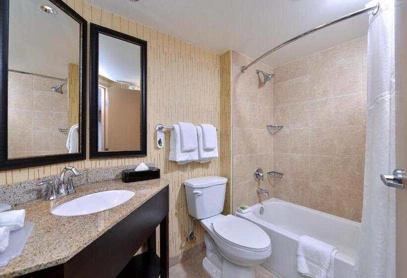 스탠다드 룸 킹사이즈 침대, Holiday Inn Express Hunt Valley, An Ihg