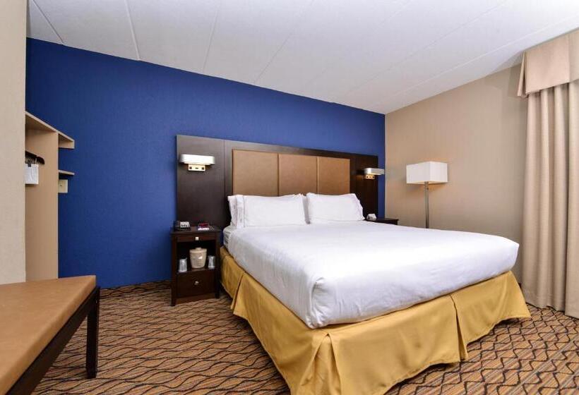 스탠다드 룸 킹사이즈 침대, Holiday Inn Express Hunt Valley, An Ihg