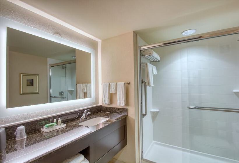 Suite, Holiday Inn & Suites Atlanta Airport North, An Ihg