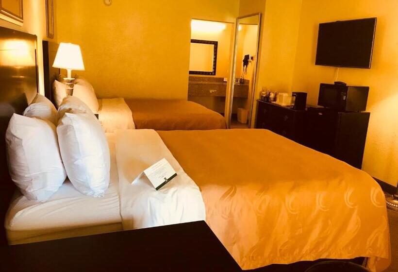 Номер Стандарт, Quality Inn & Suites Conference Center Statesboro Historic District