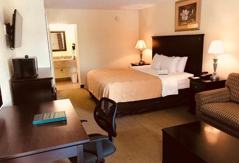 Стандартный Номер Кровать Кинг, Quality Inn & Suites Conference Center Statesboro Historic District