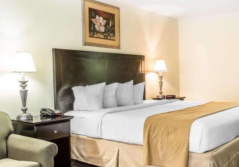 Стандартный Номер Кровать Кинг, Quality Inn & Suites Conference Center Statesboro Historic District