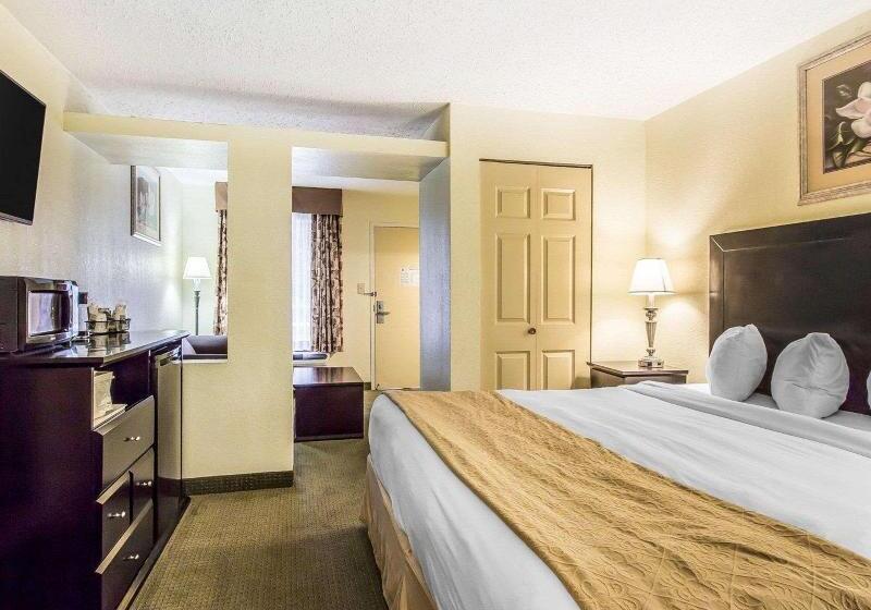 Люкс Кровать Кинг, Quality Inn & Suites Conference Center Statesboro Historic District
