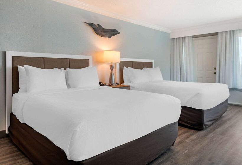 Номер Стандарт 2 Двуспальные Кровати, Winter The Dolphin S Beach Club, Ascend Hotel Collection