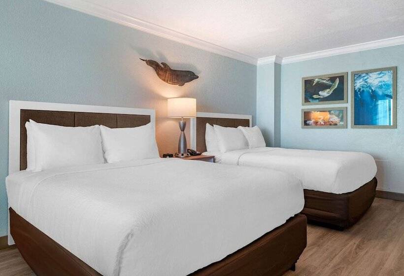 Люкс, Winter The Dolphin S Beach Club, Ascend Hotel Collection