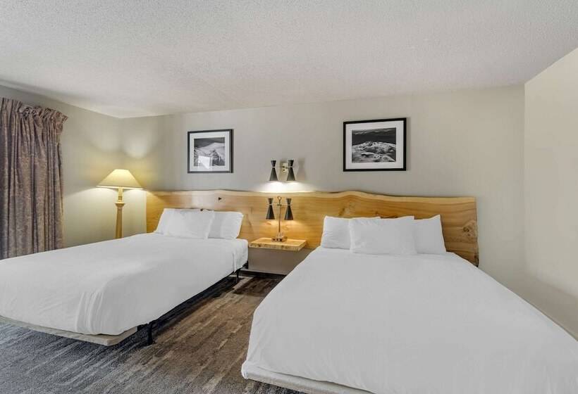 带2个双人床的标准工作室, Green Granite Inn, Ascend Hotel Collection