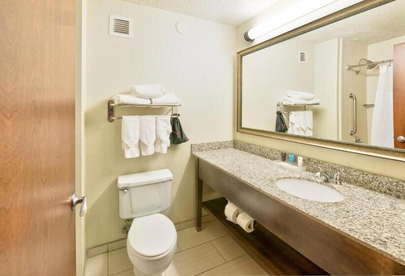 Standaardkamer met Kingsize Bed, Crowne Plaza Indianapolis Dwtn Union Stn, An Ihg