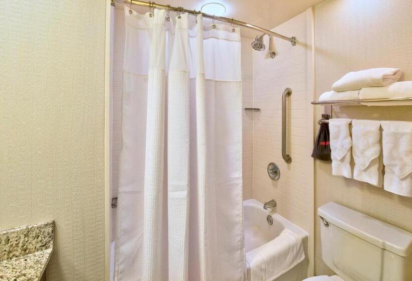 Standaardkamer met Kingsize Bed, Crowne Plaza Indianapolis Dwtn Union Stn, An Ihg