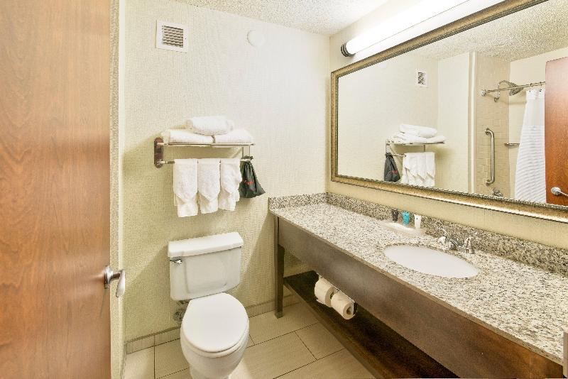 Standaardkamer met Kingsize Bed, Crowne Plaza Indianapolis Dwtn Union Stn, An Ihg