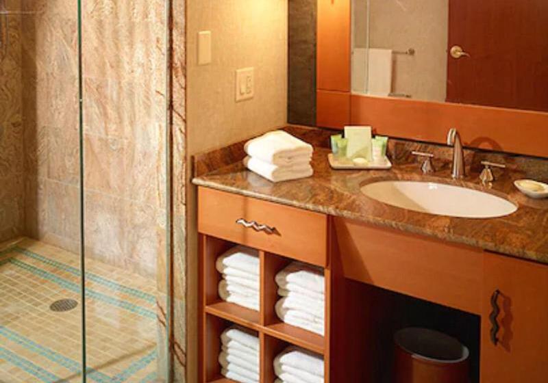 Apartament 2 Dormitoris, Hilton Fort Worth