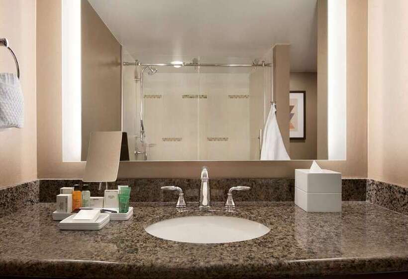 Habitació Estàndard, Hilton Fort Worth