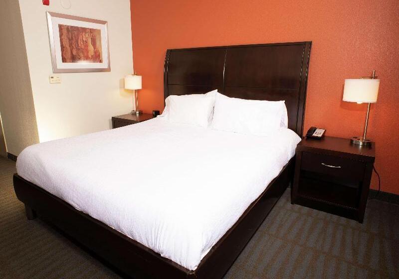 Standard Szoba King Size Bed, Hilton Garden Inn Springfield, Il