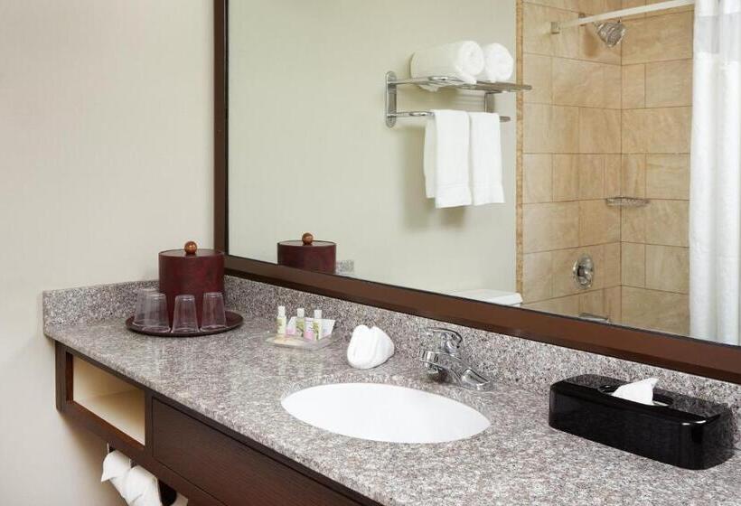 이그제큐티브 룸, Holiday Inn Chicago Matteson Conf Center, An Ihg