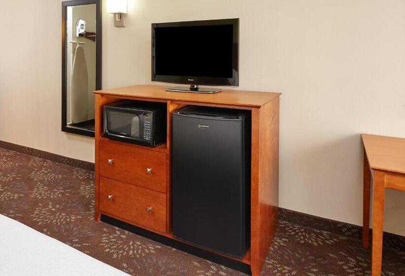장애인을 위한 킹사이즈 침대 스탠다드 룸, Holiday Inn Chicago Matteson Conf Center, An Ihg