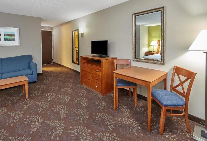 스탠다드 룸 킹사이즈 침대, Holiday Inn Chicago Matteson Conf Center, An Ihg