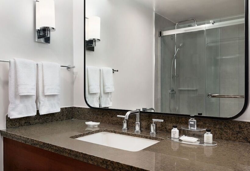 스탠다드 룸, Crowne Plaza College Park  Washington Dc