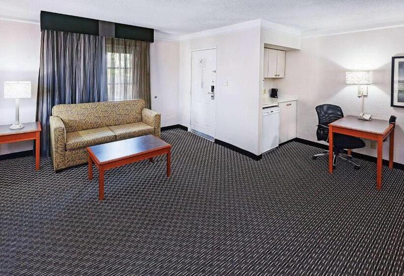 Люкс Кровать Кинг, La Quinta Inn By Wyndham Dallas Uptown