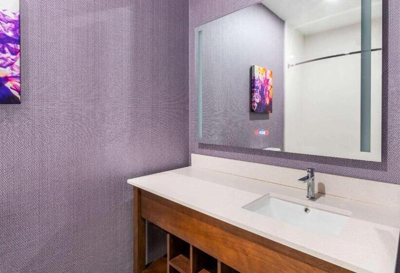 Номер Стандарт Адаптированный для Инвалидов, La Quinta Inn & Suites By Wyndham Lewisville
