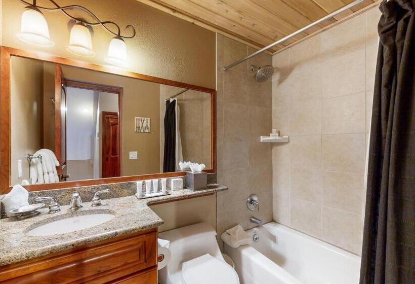 Апартаменты 1 Спальня, Lion Square Lodge