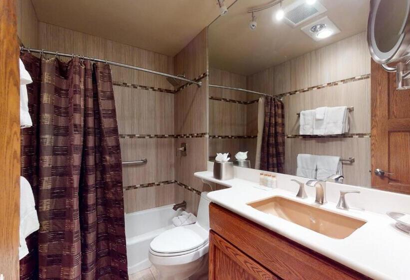 Апартаменты Deluxe 1 Спальня, Lion Square Lodge