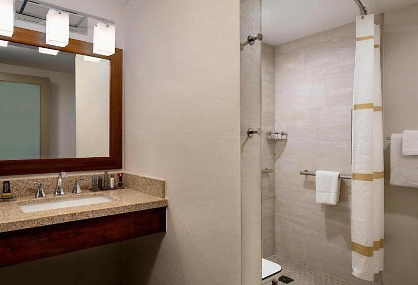 스탠다드 룸 더블 침대 2개, Lincolnshire Marriott Resort