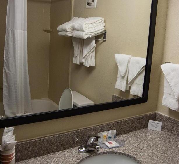 스탠다드 룸 킹사이즈 침대, Comfort Inn & Suites Raphine  Lexington Near I81 And I64