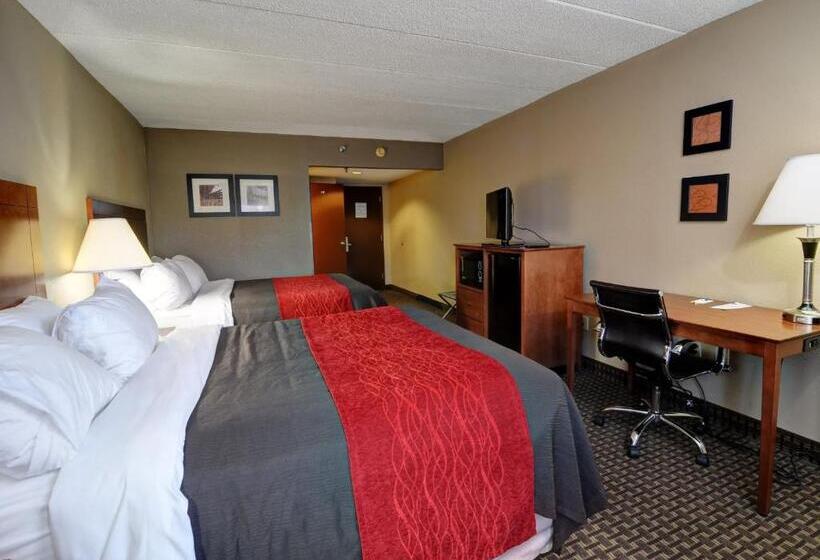 장애인을 위한 스탠다드 룸, Comfort Inn & Suites Raphine  Lexington Near I81 And I64