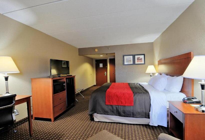 장애인을 위한 킹사이즈 침대 스탠다드 룸, Comfort Inn & Suites Raphine  Lexington Near I81 And I64