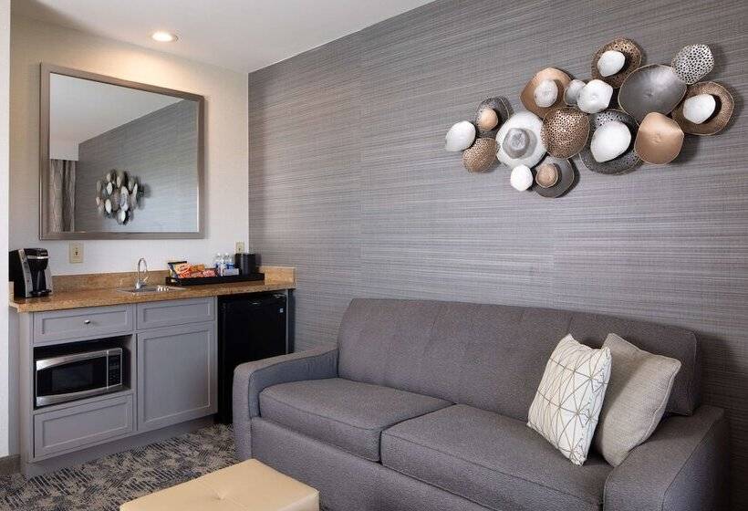 Люкс Адаптированный для Инвалидов, Embassy Suites By Hilton Portland Maine