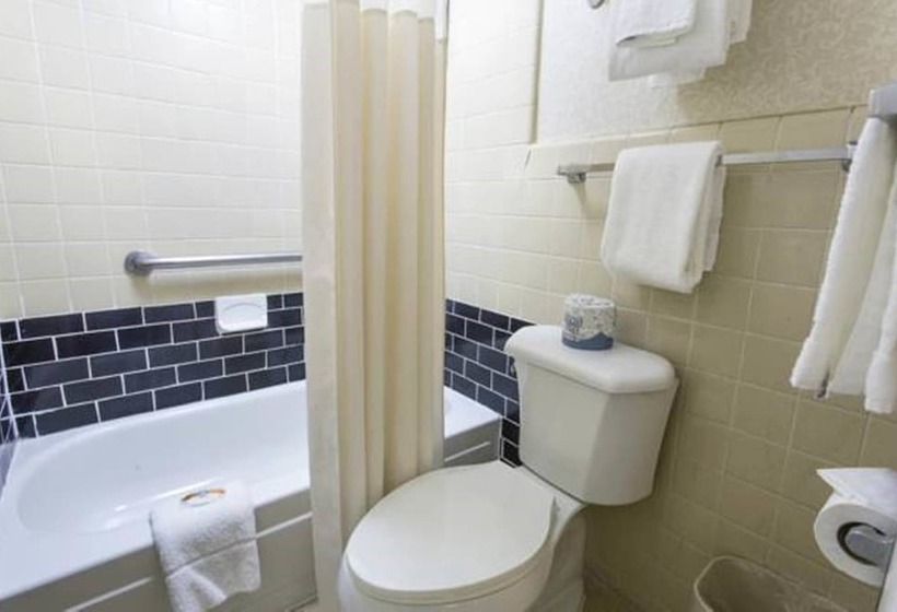İki Çift Kişilik Yataklı Standart Oda, Quality Inn Savannah Historic District