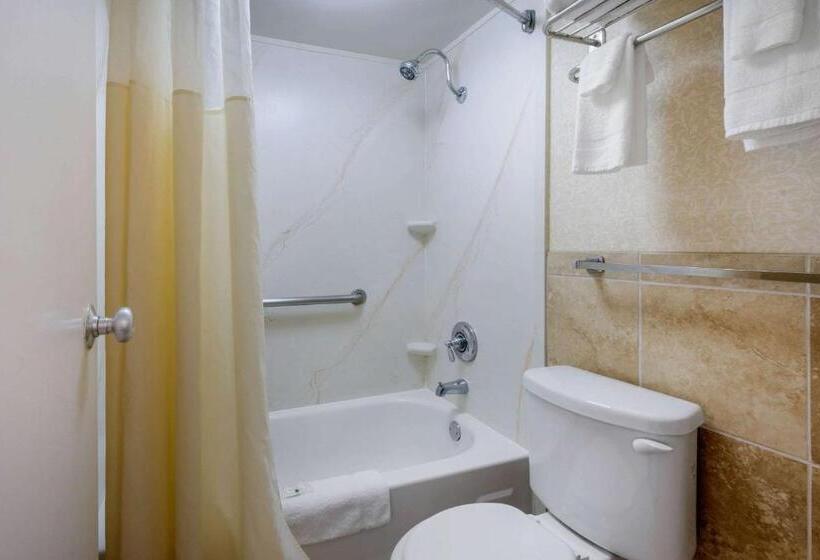 İki Çift Kişilik Yataklı Standart Oda, Quality Inn Savannah Historic District