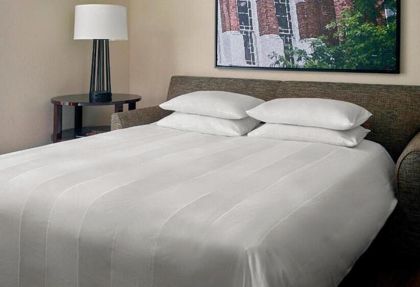 Suite Aangepast voor Gehandicapten, Augusta Marriott At The Convention Center