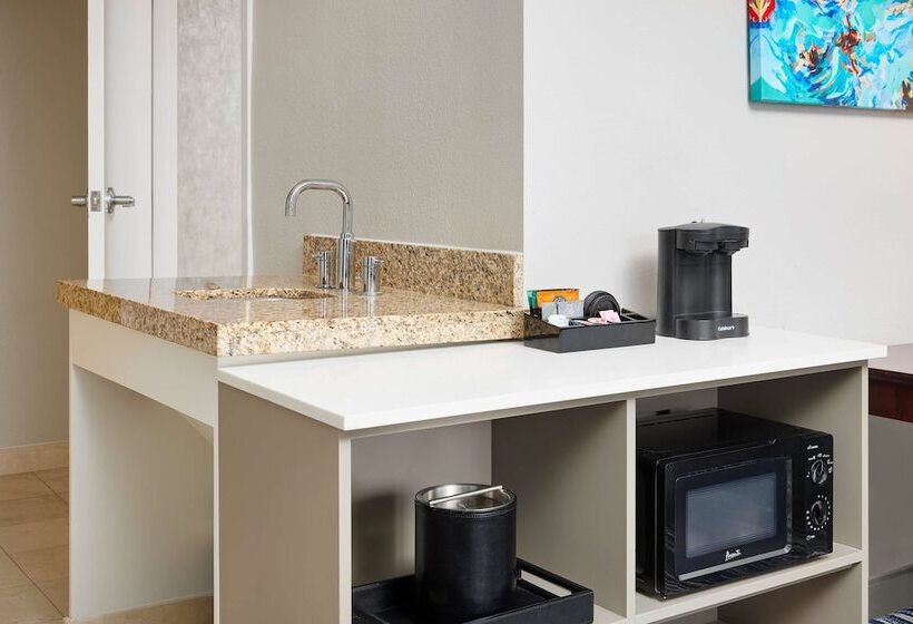 Suite Aangepast voor Gehandicapten, Embassy Suites By Hilton West Palm Beach Central