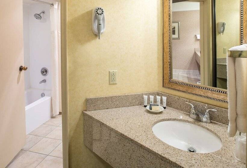 Полулюкс, Red Lion Hotel Pasco Airport & Conference Center