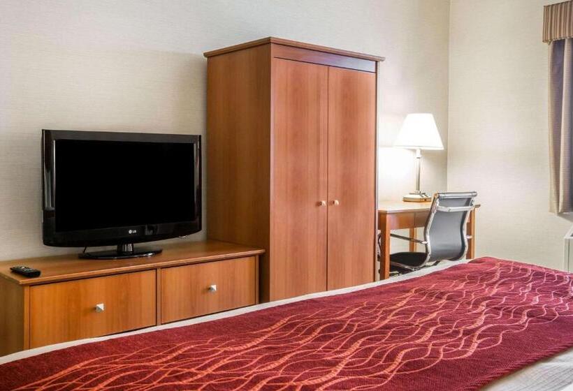스탠다드 룸 킹사이즈 침대, Comfort Inn