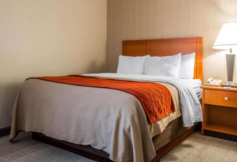 스위트, Comfort Inn