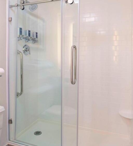 Номер Deluxe Кровать Кинг Вид на Город, Four Points By Sheraton Detroit Novi