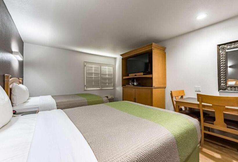 四人豪华间, Quality Inn & Suites Plano East   Richardson