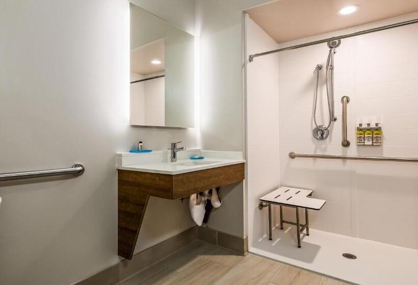 Номер Стандарт Кровать Кинг Адаптированный для Инвалидов, Holiday Inn Express & Suites Detroit   Farmington Hills, An Ihg